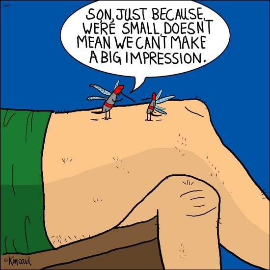 kincaid-comics-mosquitos-a-