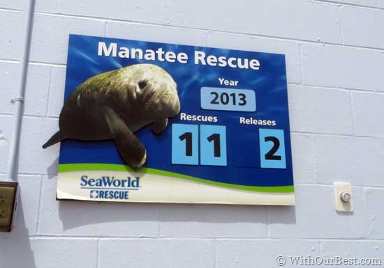 manatee-rescue-seaworld-orl