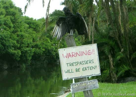 vulture-warning-gatorland