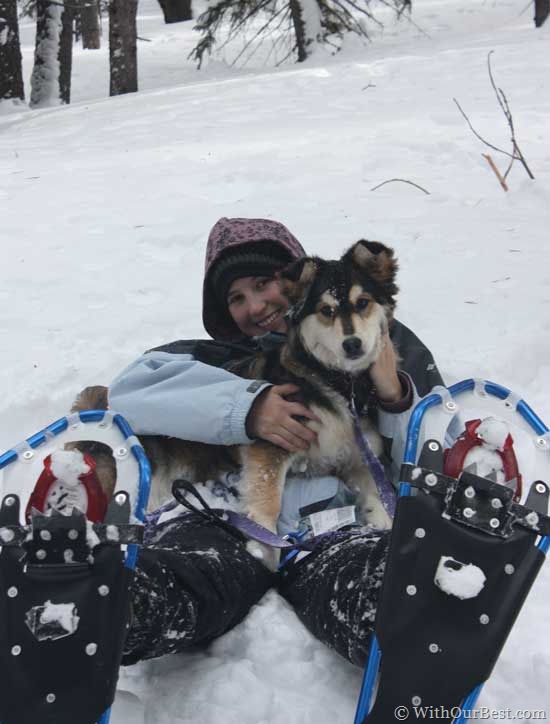 snowshoeing-with-dog-daisy