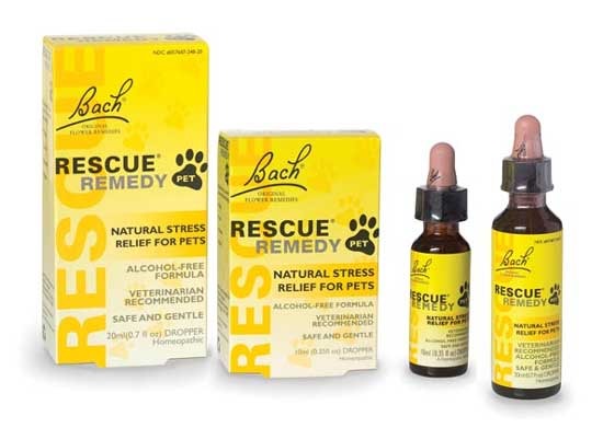 RESCUE-Remedy-Anxiety-stres