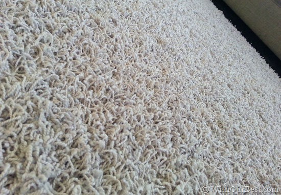 New-Smartstrand-carpet-Moha