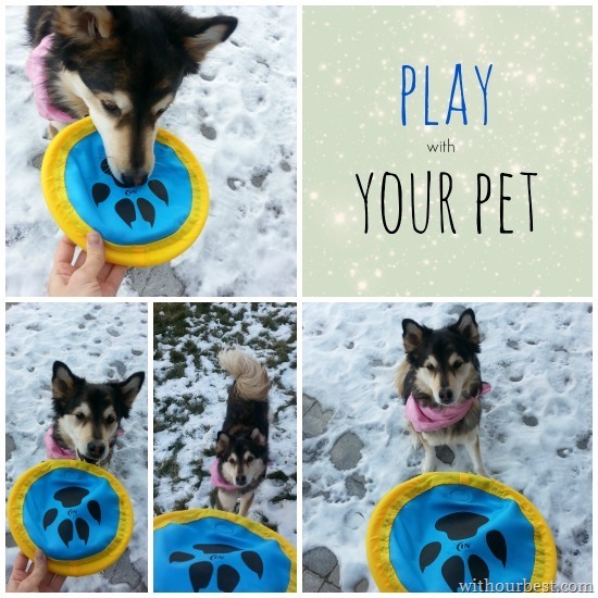 daisy plays with frisbee