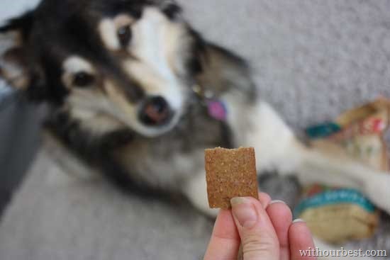 grain-free-dog-treats