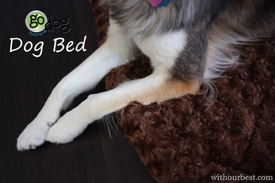 Go-Dog-Bed-Review