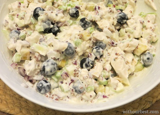 Chicken-Salad-Bluberry-Recipe