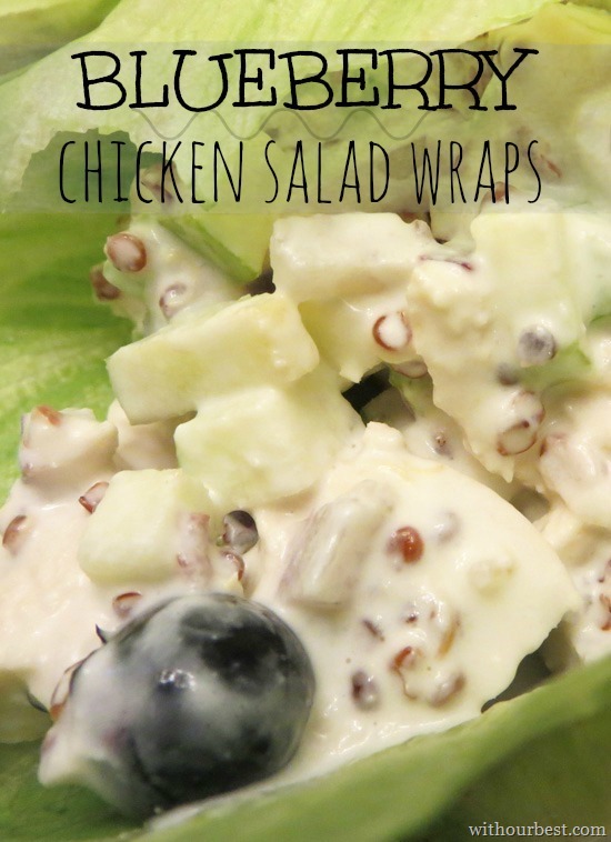 blueberry-chicken-salad-wrap