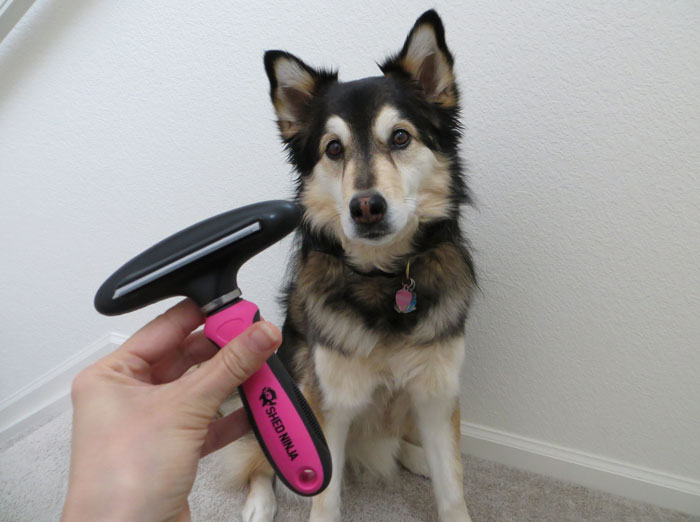 Dog-shedding-tool-review