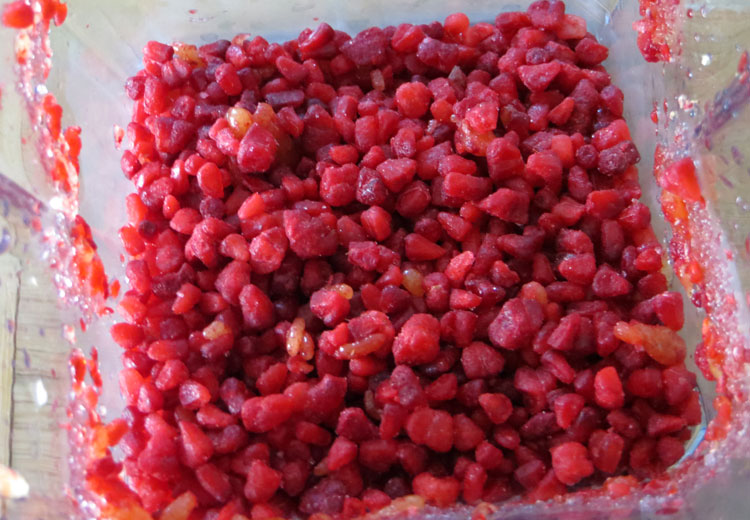 blended-frzen-raspberries
