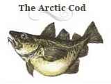 Artic-Cod-Nordic-Naturals