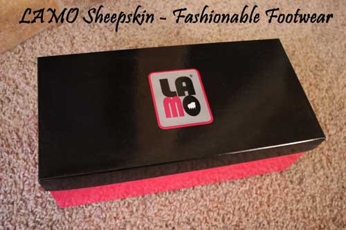 Fashionable-footwear-sheeps