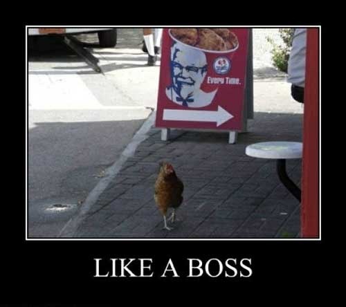 KFC-Everytime