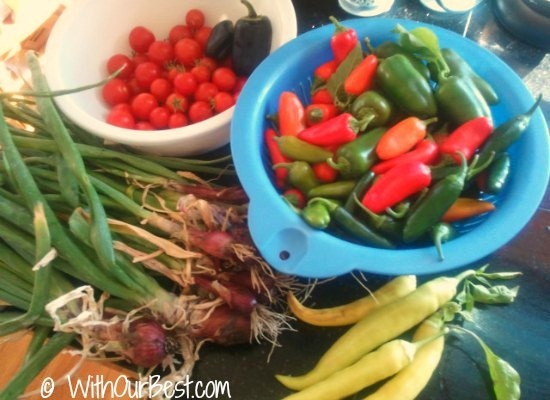 Garden veggies peppers fresh