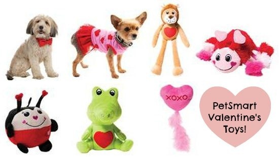 Pet-Smart-Toys-for-Dogs-and