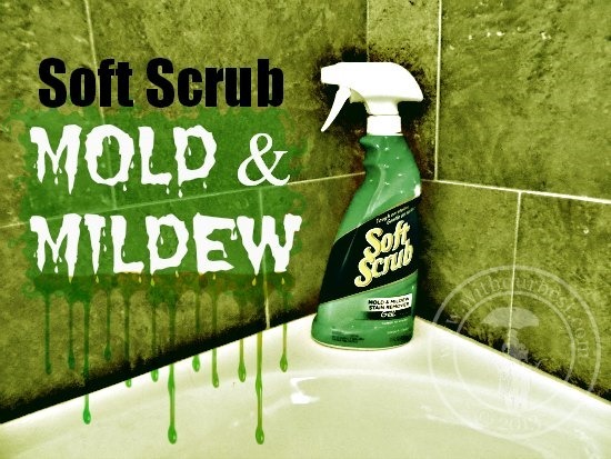 Soft Scrub mold mildew