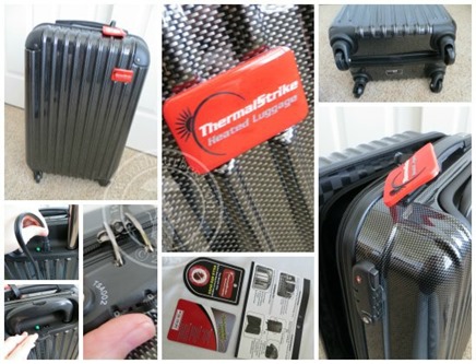 luggage bed bugs kills suitcase lice giveaway tester thrilled why heated