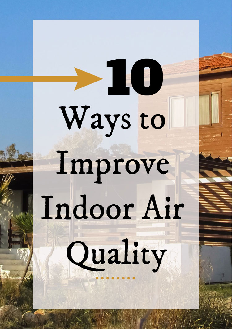 Air Purification Ideas For A House 3